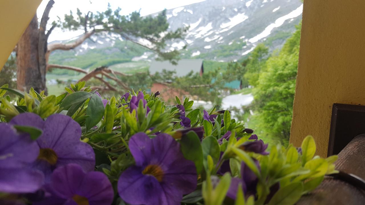 Guest House Tiha Noc Žabljak Eksteriør bilde