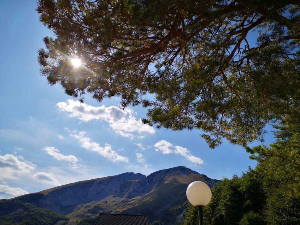 Guest House Tiha Noc Žabljak Eksteriør bilde